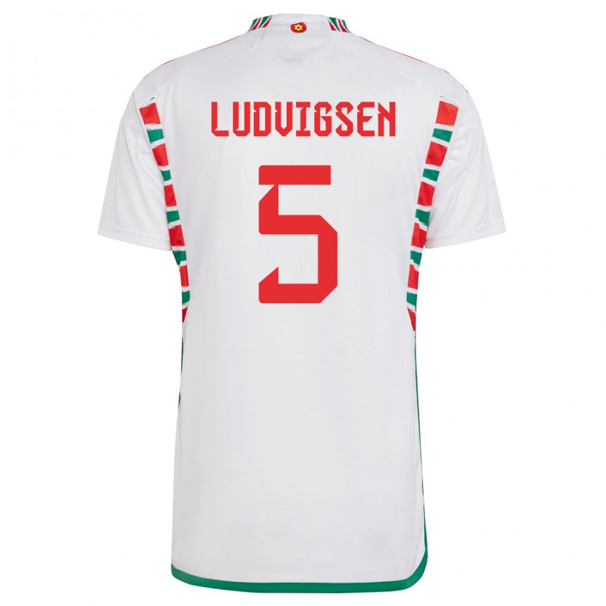 Uomo Maglia Galles Kai Ludvigsen #5 Bianco Kit Gara Away 22-24 Maglietta
