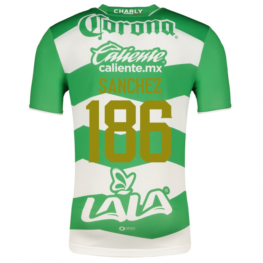 Uomo Maglia David Sánchez #186 Verde Kit Gara Home 2023/24 Maglietta