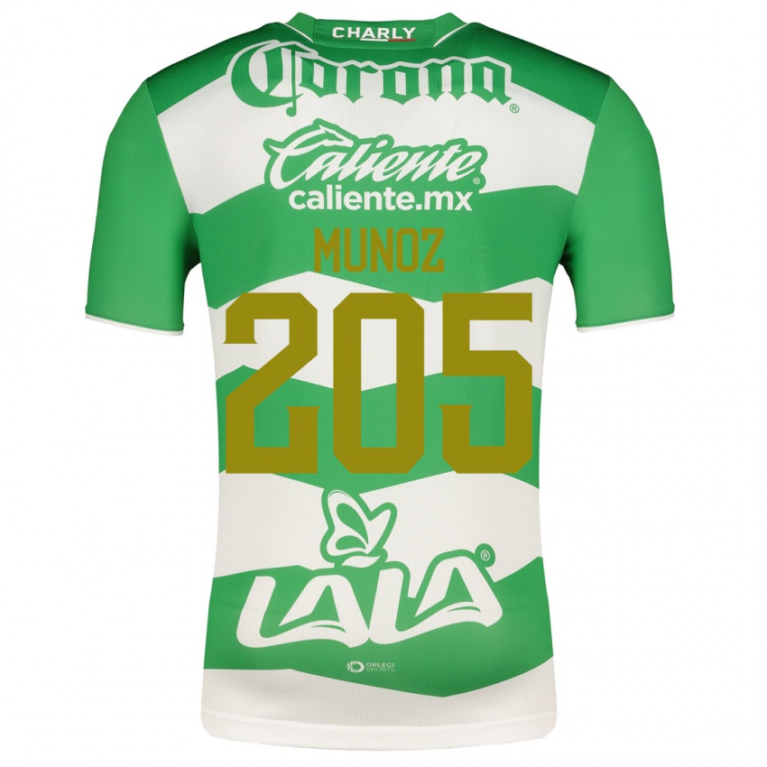 Uomo Maglia Guillermo Muñoz #205 Verde Kit Gara Home 2023/24 Maglietta